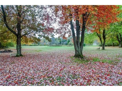 Yard/Garden.