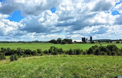 Lot B1 Moore Rd unit B1, Ruckersville, VA 22968 - photo 4