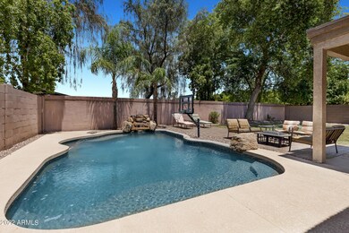 Backyard 5