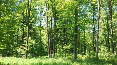 0 Harding Rd unit 1707650, Merrill, WI 54452 - photo 2