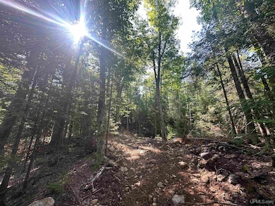 Off Indian Lake Rd, Michigamme, MI 49861 - photo 6