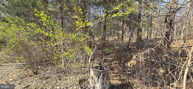 0 Hudson Hollow Rd, Stephens City, VA 22655 - photo 5