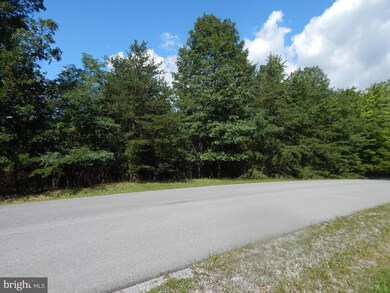 35 Montevideo Rd, Berkeley Springs, WV 25411 - photo 5