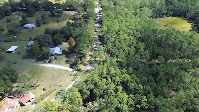 0 NE 212th Street Rd unit 11604827, Fort McCoy, FL 32134 - photo 7