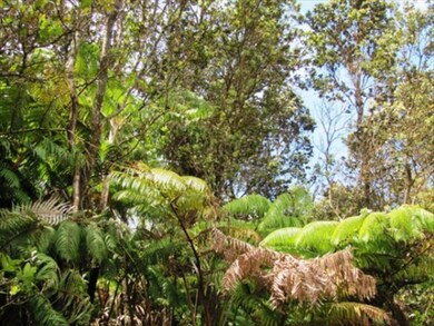 0 2nd St unit 256426, Volcano, HI 96785 - photo 3