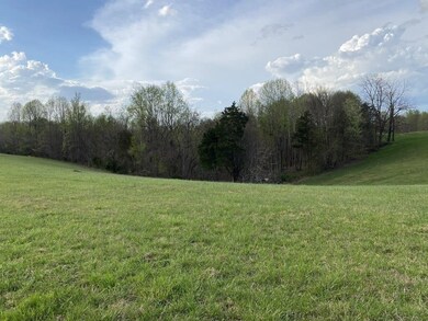 10 Carthage Rd, Red Boiling Springs, TN 37150 - photo 4