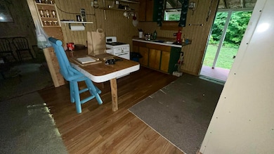 21821 Krenkel Tr unit 21821, Newberry, MI 49868 - photo 5