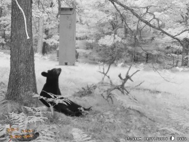 VL Par 2 W 8th St, Baldwin, MI 49304 - photo 6