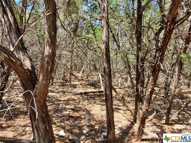 5267 Comanche Dr, Temple, TX 76502 - photo 5