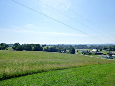 Lot 2 Owl Hole Gap Rd, Rutledge, TN 37861 - photo 6