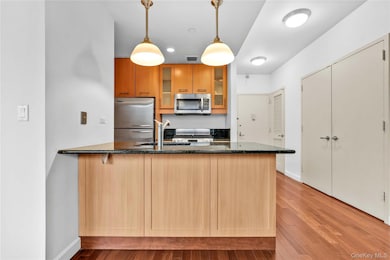 The Windsor at Forest Hills unit 2F, Forest Hills, NY 11375 - photo 4