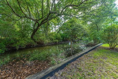 Sea Wall and Tidal Creek