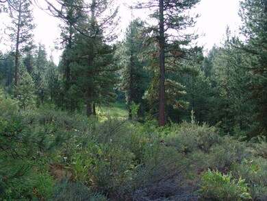 Located in Eagle Nest Just Minutes From Town