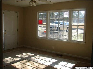 224 Hall Ave, Birmingham, AL 35209 - photo 2