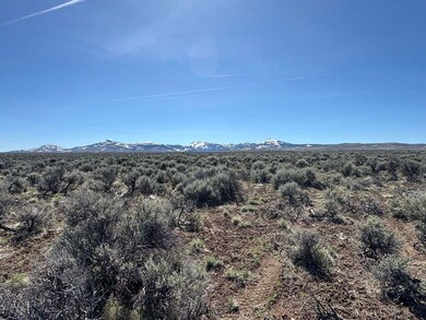 IMG_7270