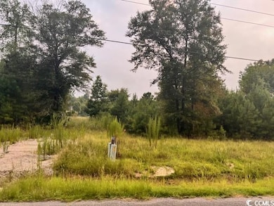 View of local wilderness