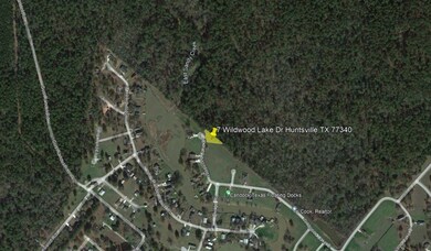 7 Wildwood Lake Dr, Huntsville, TX 77340 - photo 4