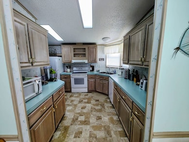 10525 Proper Dr, Hudson, FL 34667 - photo 6