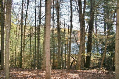 81 Covered Bridge Dr, Hawley, PA 18428 - photo 2