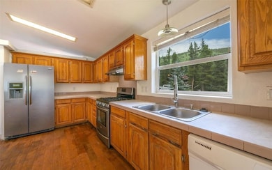 865 Silver Creek Rd, Idaho Springs, CO 80452 - photo 3