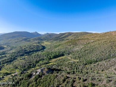 765 Saddle Horn Way, Edwards, CO 81632 - photo 5
