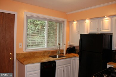 4705 Renwick Ave, Baltimore, MD 21206 - photo 5