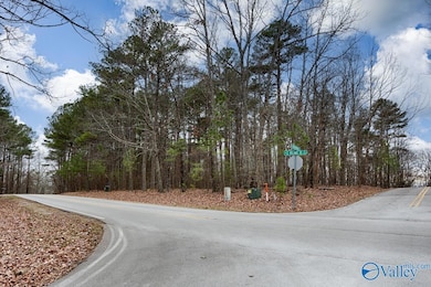 13300 S Village Square Rd SE, Huntsville, AL 35803 - photo 4