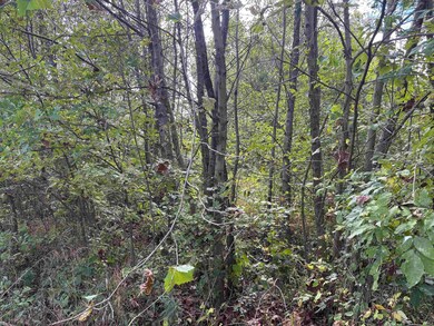 00 E 200 Rd, Sullivan, IN 47882 - photo 7