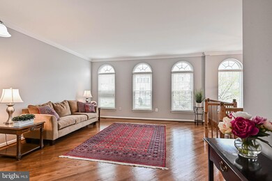 42817 Shaler St, Chantilly, VA 20152 - photo 5