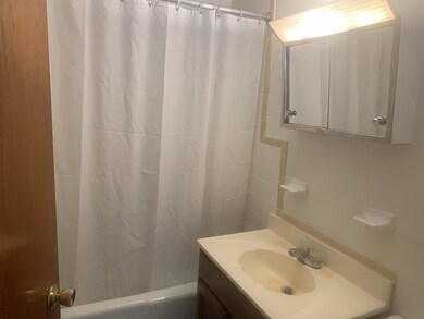 14 Burton Ave unit 1, Newton, MA 02458 - photo 4