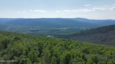 dji_fly_20240623_120754_215_171917329062