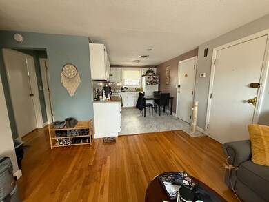 775 Lagrange St unit 6, West Roxbury, MA 02132 - photo 4