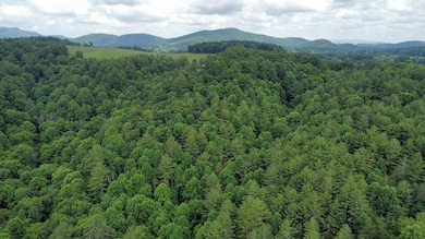 0 Island Ford Rd, Laurel Springs, NC 28644 - photo 2