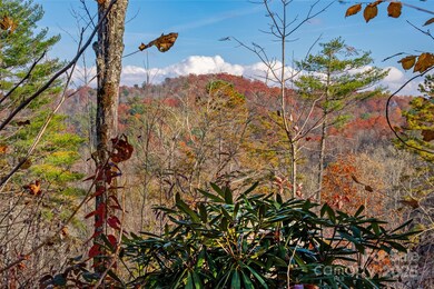 TBD S Fork Trail, Lake Toxaway, NC 28747 - photo 6