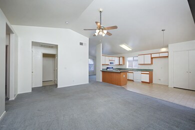 Kitchen & Family Room