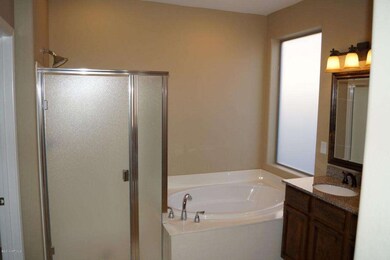 Master Bath Tub and Shower