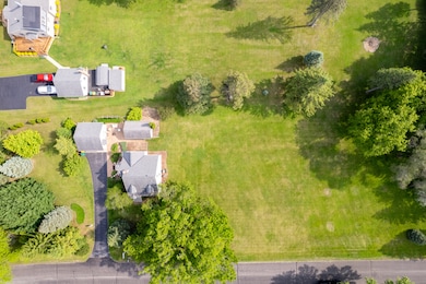 Drone View