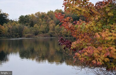 7906 Bressingham Dr, Fairfax Station, VA 22039 - photo 6