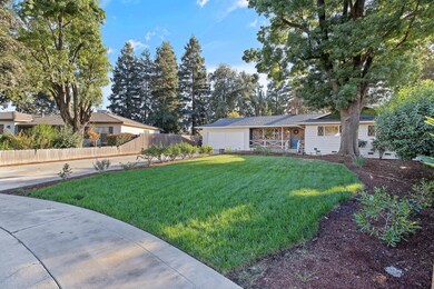 3-web-or-mls-713A1080