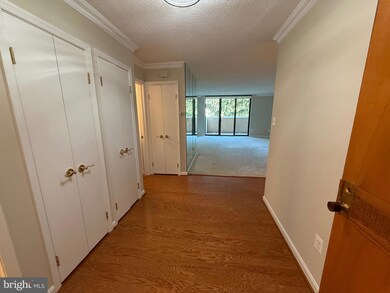 The Representative unit 214, Arlington, VA 22202 - photo 4