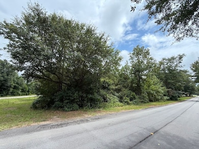 Summer Dr unit LotWP002, Barnwell, SC 29812 - photo 7