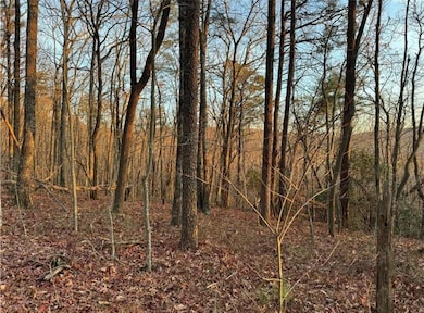 View of nature