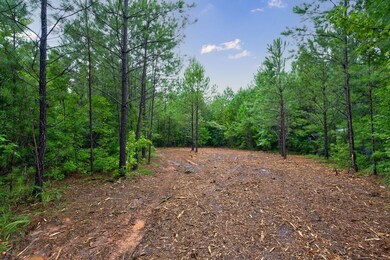 0 Prospect Church Rd, Norwood, GA 30821 - photo 7