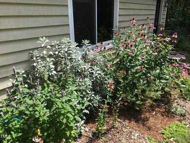 6_Backyard Outside Summer