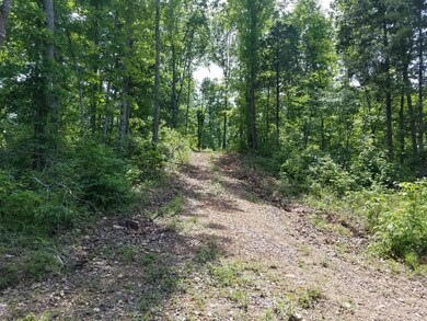 0 Hurricane Creek unit 1931811, Linden, TN 37096 - photo 4