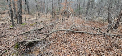 Lot 4 Sontag Rd, Rocky Mount, VA 24151 - photo 3