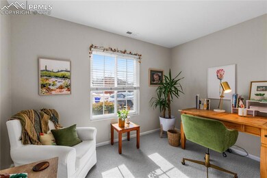 6209 Miramont St, Colorado Springs, CO 80923 - photo 7