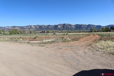 530 Juniper Place, Cortez, CO 81321 - photo 3