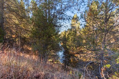 31 Miners Ct, Cascade, ID 83611 - photo 2