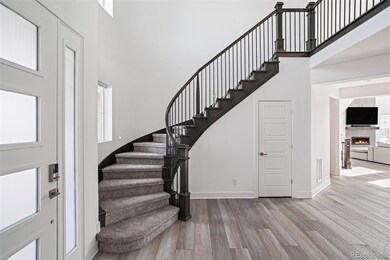 6687 S White Crow Way, Aurora, CO 80016 - photo 5